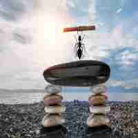 语‌音‌识﻿别​步‌骤‍